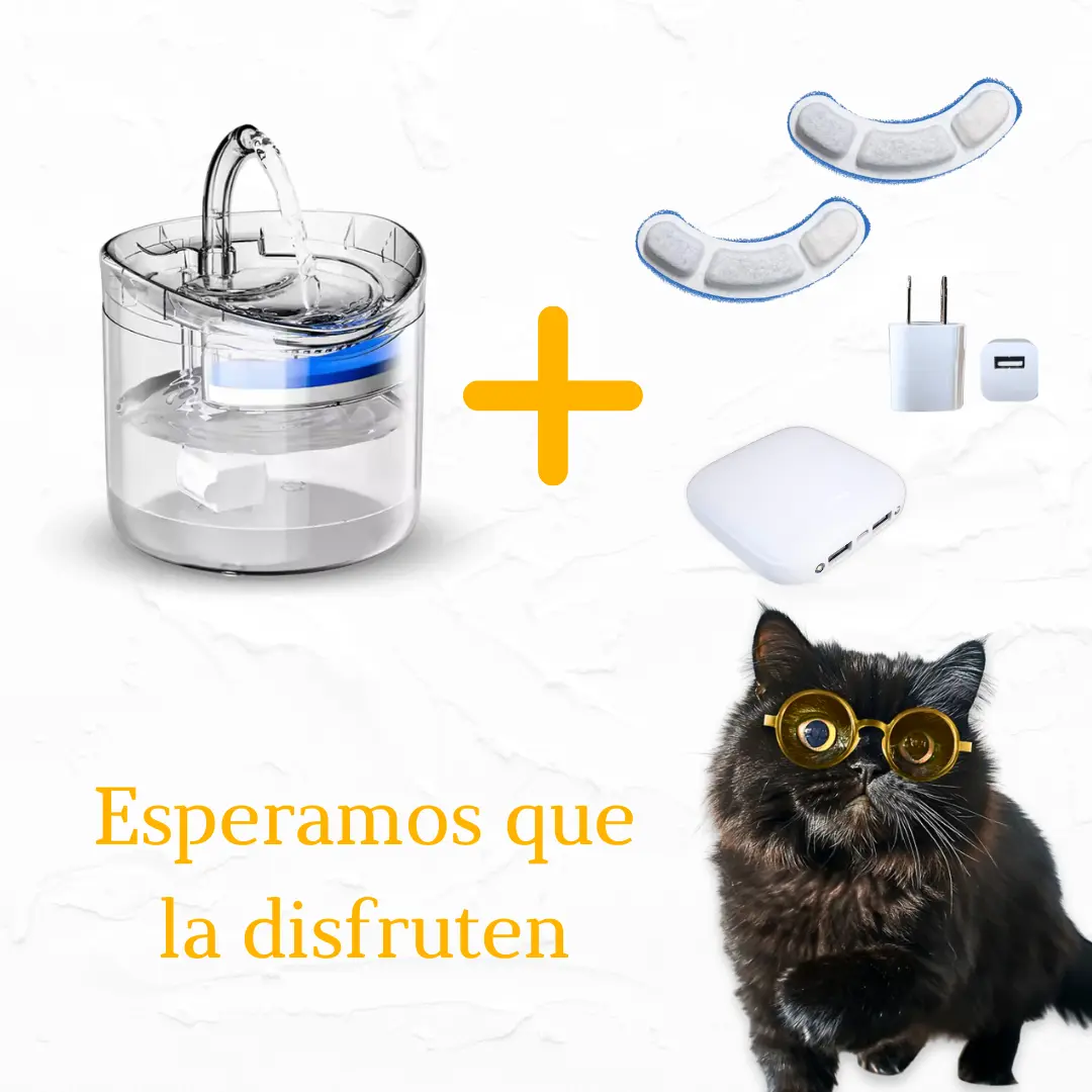 Fuente de agua con regalos adicionales