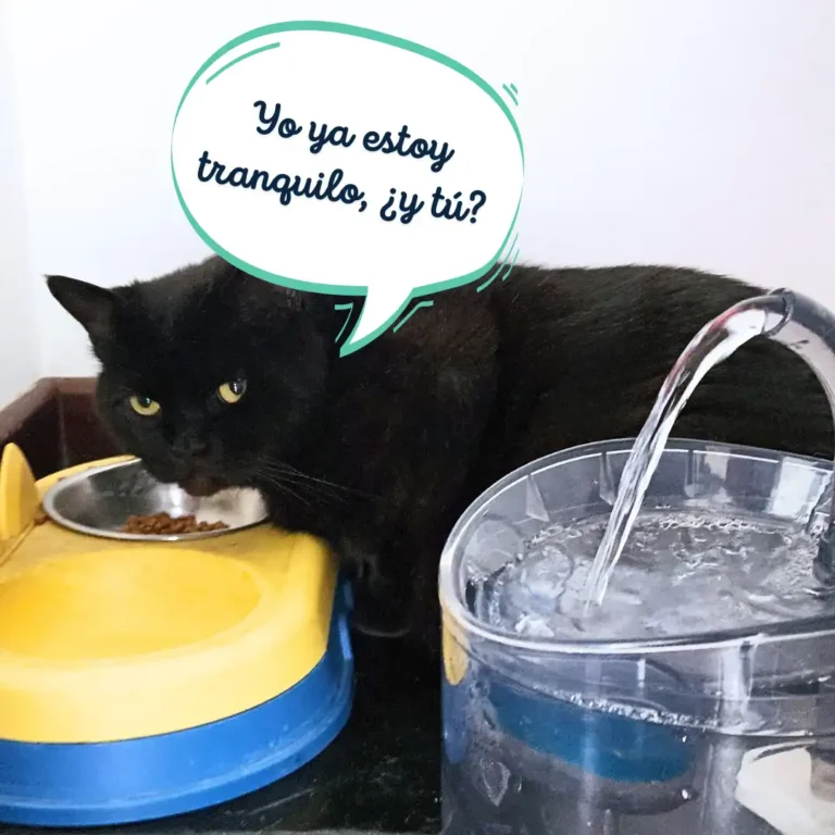 Comprar fuente con sensor Tongypets