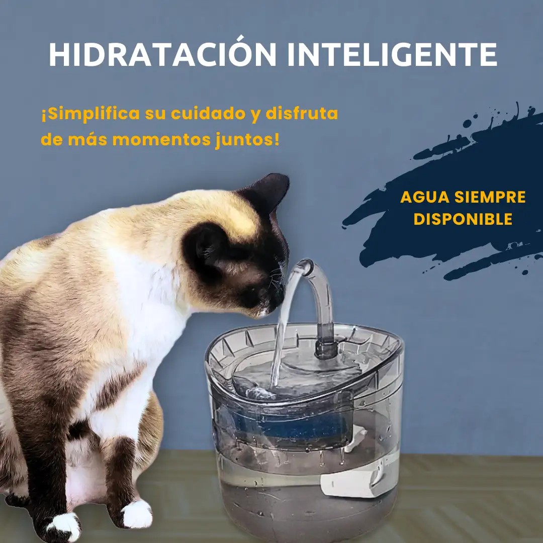 fuente de agua para gatos y perros con sensor