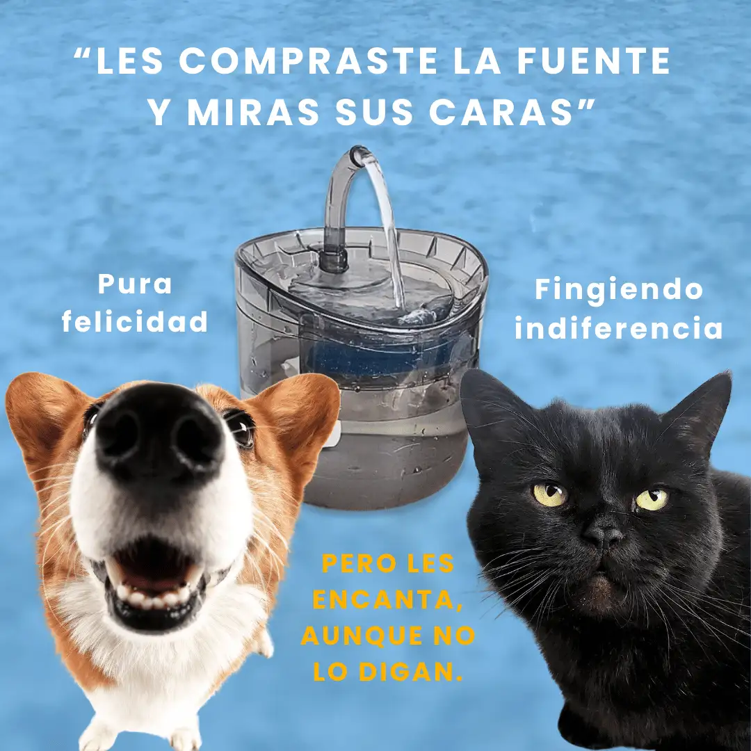 Fuente bebedero de agua para mascota con sensor