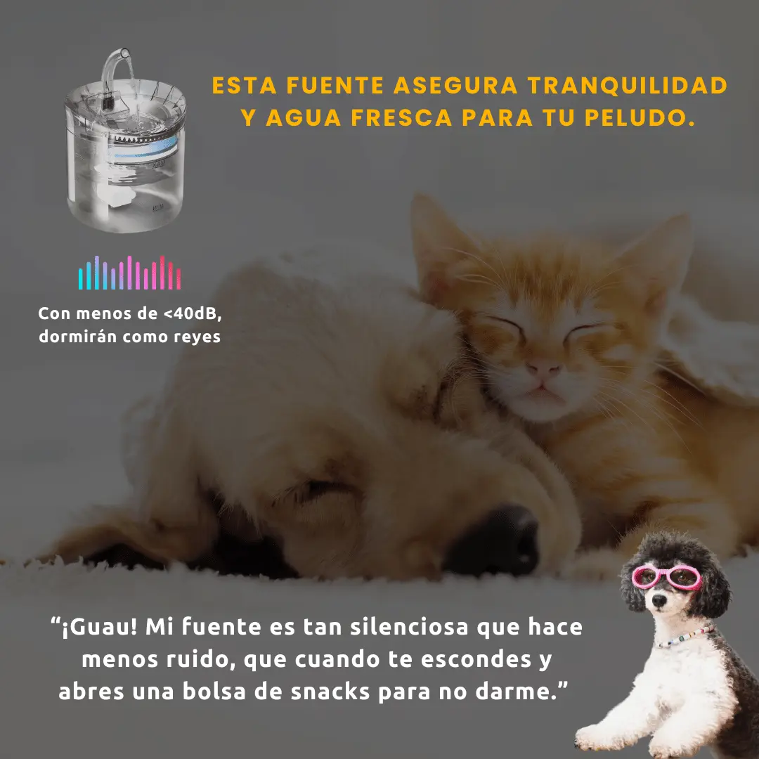 Fuente de agua para perros y gatos ultra silenciosa