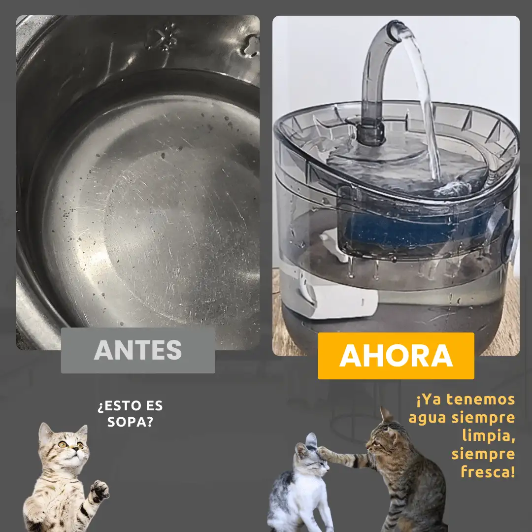Fuente de agua saludable automatica con sensor de movimiento para mascotas