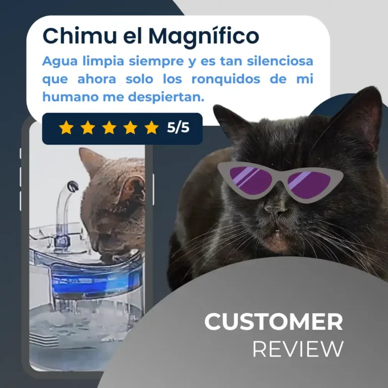 Comentario Fuente gatos