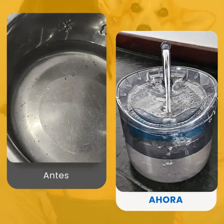 diferencia taza de agua contra Fuentes para gatos